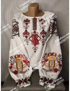 Жіноча вишиванка арт. 782