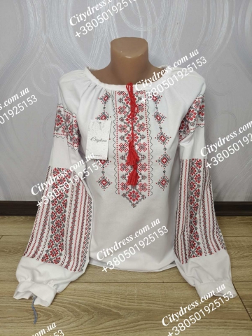 Жіноча вишиванка арт. 749