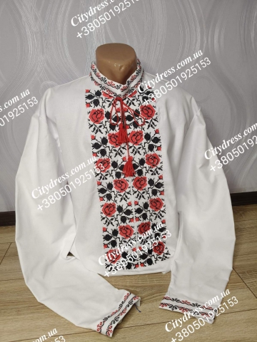Вишиванка чоловіча арт.614